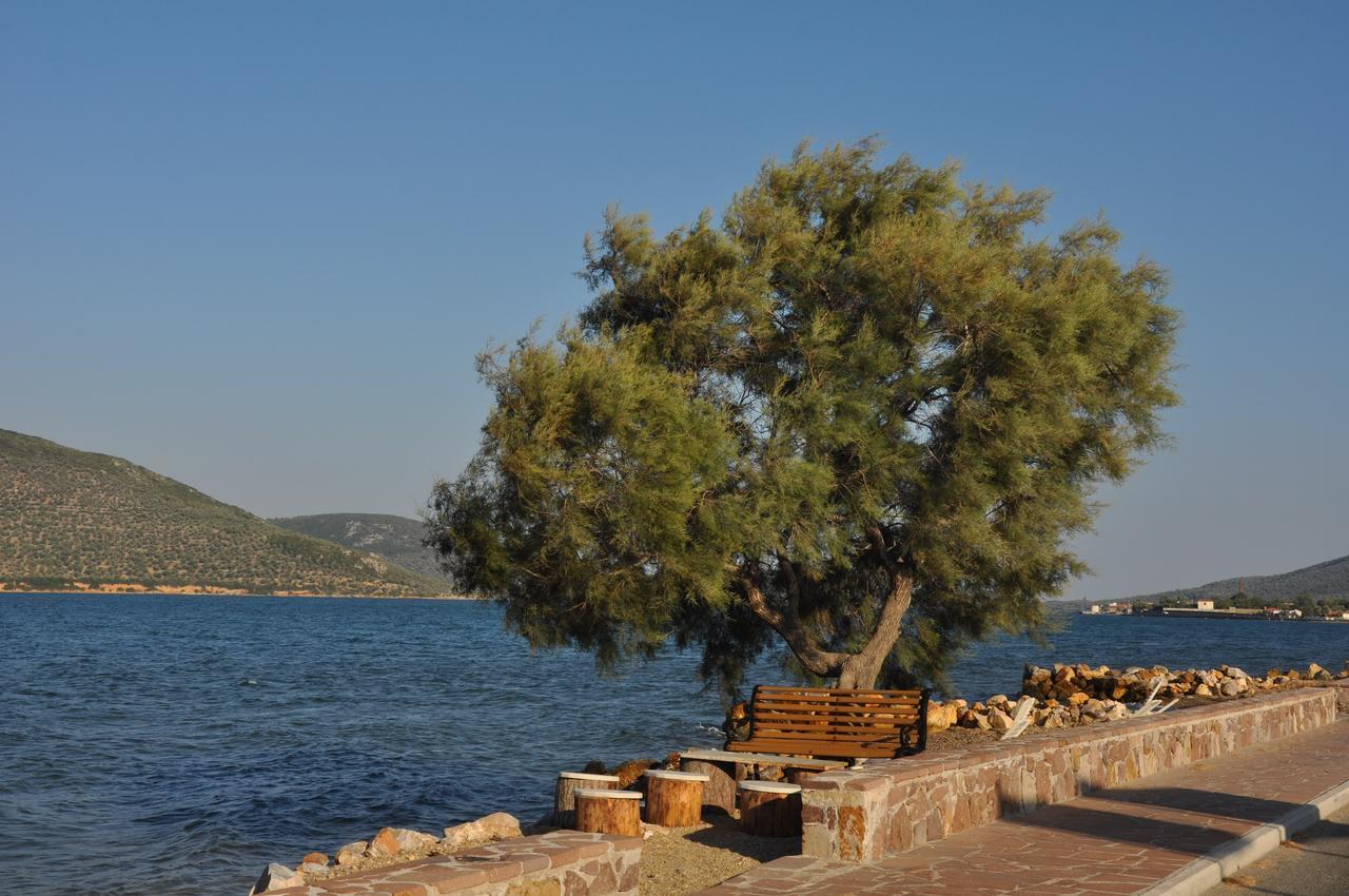 Ariadnes Holiday Accommodation Apidias Lakos エクステリア 写真